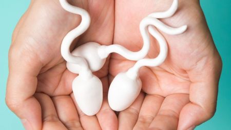 ‘गर्भ बस्न नदिन पुरुषले सेवन गर्ने चक्की’ बनाउने प्रयासमा वैज्ञानिकहरू