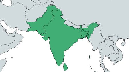 विदेशमा रहेका गिरोहहरूले पंजाबलाई आतंकित बनाउँदै: क्यानाडामा आधारित अपराधीहरूको धम्कीको शिकार