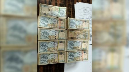भारत–नेपाल सीमामा हुण्डी कारोबारको सञ्जाल? १९ वर्षीय युवक रकमसहित पक्राउ