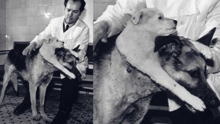 दुई टाउके कुकुर बनाउने सोभियत वैज्ञानिक