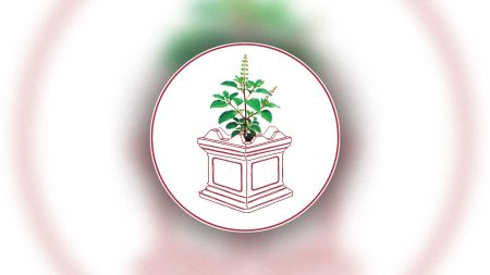 राष्ट्रिय एकता दलको औपचारिक घोषणा सभा  पुस २५ गते काठमाडौँमा